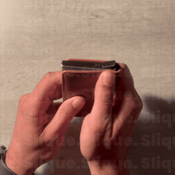 GIF 2